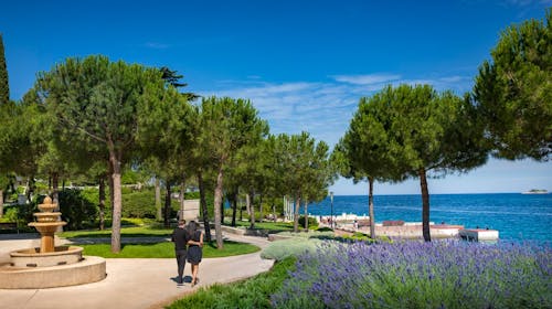 Maistra Island Hotel Istra - Wellness opuštanje u Rovinju, Rovinj, Istra, Hrvatska - 34.981 RSD - 2x noćenje u dvokrevetnoj sobi za 2 osobe (1 dete do 11,99 godina besplatno), Polupansion