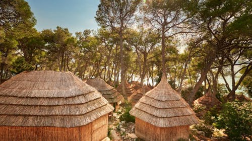 Pine Beach Pakoštane - All inclusive light odmor - Standard bungalov, Pakoštane, Dalmacija, Hrvatska - 21.009 RSD - 2x noćenje u Standard bungalovu za 2 osobe, All inclusive light