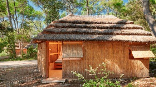 Pine Beach Pakoštane - All inclusive light odmor - Family bungalov, Pakoštane, Dalmacija, Hrvatska - 40.373 RSD - 2x noćenje u Family bungalovu za 4 osobe (1 dete do 3,99 godina besplatno), All inclusive light