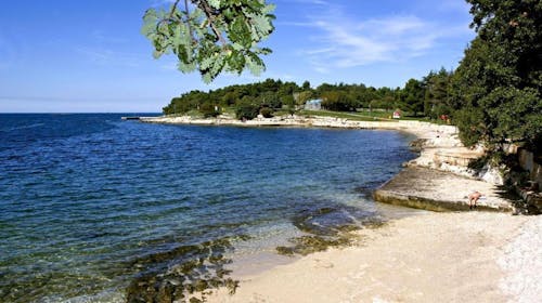 Hotel Istra Plava Laguna - Leto u Poreču, Poreč, Istra, Hrvatska - 143.082 RSD - 7x noćenje u Economy sobi s dodatnim ležajem za 2 osobe (1. dete do 11,99 godina i 2. dete do 4,99 godina besplatno), Polupansion