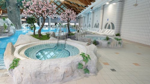 Spa House Blue Lagoon - Terme Čatež, Čatež ob Savi, Slovenija - 23.460 RSD - 2x noćenje u kućici Spa House Blue Lagoon za do 8 osoba (6 odraslih osoba i 2 dece do 11,99 godina), Posteljina i peškiri
