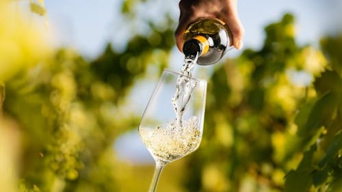 Hotel Rezidenca Ortus - Prolećno ili jesenje odmor uz vinsko iskustvo na slovenačkoj obali, Ankaran, Slovenija - 44.500 RSD - 2x noćenje u dvokrevetnoj sobi za 2 osobe, Polupansion (bogati doručak i večera)