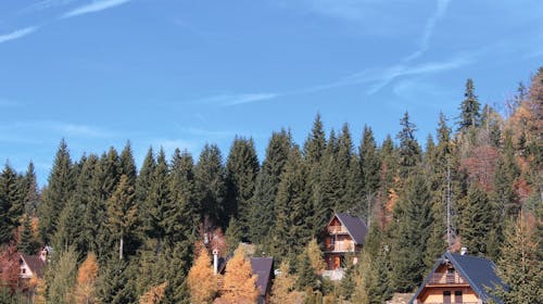 Pansion A&M Vlašić - Prolećna i letnja avantura na Vlašiću,  Babanovac, Bosna i Hercegovina - 17.953 RSD - 2x noćenje u dvokrevetnoj sobi za 2 osobe, Doručak