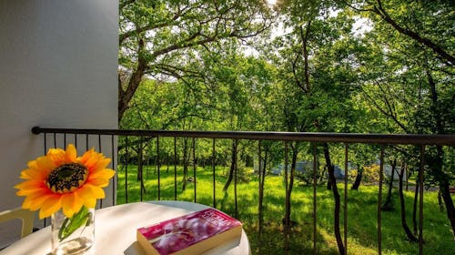 Holiday resort Kačjak - Leto za parove, Kačjak, Hrvatska - 63.324 RSD - 5x noćenje u Standard dvokrevetnoj sobi sa balkonom na morskoj strani za 2 osobe, Polupansion