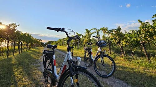 Hotel Rezidenca Ortus - U dvoje sa električnim biciklima duž slovenačke obale, Ankaran, Slovenija - 37.455 RSD - 2x noćenje u dvokrevetnoj sobi za 2 osobe, Polupansion (bogati doručak i večera)