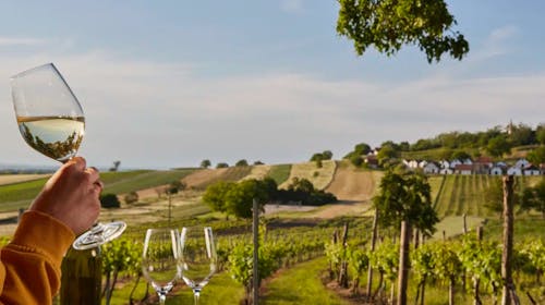 Althof Retz, Landgut & SPA - Adults only wellness odmor sa uključenom degustacijom vina, Retz, Austrija - 112.189 RSD - 3x noćenje u dvokrevetnoj sobi Classic Landgut za 2 osobe, Polupansion (buffet doručak i večera u 5 sleda)