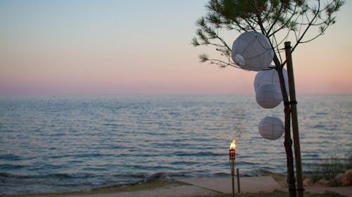 Apartmani Erica Pineta - Porodično proleće u Novigradu, Novigrad, Istra, Hrvatska - 17.615 RSD - 3x noćenje u dvosobnom apartmanu Erica Lux sa terasom ili dvorištem (zavisno od raspoloživosti) za 4 osobe, Posteljina i peškiri