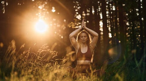 Forest Apartments Videc - Letnji wellness odmor na Pohorju tokom sedmice za 6 osoba, Pohorje, Slovenija - 32.755 RSD - 2x noćenje u jednosobnom apartmanu sa balkonom ili terasom za 6 osoba, Neograničeno kupanje u WellNest bazenu