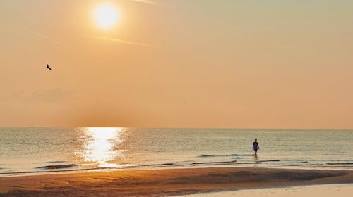 Hotel Diana - Odmor uz Italijansku obalu, Rimini, Italija - 100.005 RSD - 7x noćenje u dvokrevetnoj Standard sobi za 2 osobe, Polupansion