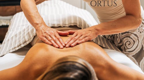 Hotel Rezidenca Ortus - Prolećni ili jesenji wellness paket sa uključenom masažom, Ankaran, Slovenija - 40.978 RSD - 2x noćenje u dvokrevetnoj sobi za 2 osobe, Polupansion (bogati doručak i večera)