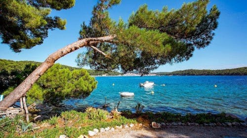 Camping Village Poljana - Mobilna kućica - Odmor na Malom Lošinju, Mali Lošinj, Hrvatska - 24.882 RSD - 4x noćenje u mobilnoj kućici Bellavista za 4 osobe (1 dete do 11,99 godina besplatno), Korištenje struje, plina i vode