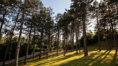 Motel Babino Brdo - Porodično opuštanje uz predivan pogled, Derventa, Bosna i Hercegovina - 7.434 RSD - 1x noćenje u dvokrevetnoj sobi za 3 osobe, Besplatan Wi-Fi