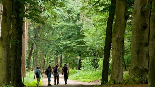 Forest Apartments Videc - Letnji wellness odmor na Pohorju tokom sedmice za 10 osoba, Pohorje, Slovenija - 44.494 RSD - 2x noćenje u dvosobnom apartmanu sa balkonom za 10 osoba, Neograničeno kupanje u WellNest bazenu