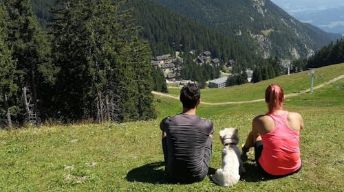Wellness hotel Montis - Adrenalinska avantura sa dozom wellnessa udvoje na planini Golte, Mozirje, Slovenija - 37.473 RSD - 2x noćenje u dvokrevetnoj sobi za 2 osobe, Polupansion (doručak i večera)
