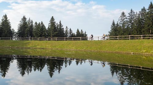 Forest Hotel Videc - Letnji wellness vikend odmor na Pohorju, Pohorje, Slovenija - 29.233 RSD - 2x noćenje u dvokrevetnoj sobi sa pomoćnim ležajem i prostranim balkonom za 2 osobe (1 dete do 6 godina besplatno), Polupansion