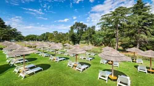 Hotel Mediteran Plava Laguna - Leto u Poreču, Poreč, Istra, Hrvatska - 152.374 RSD - 7x noćenje u dvokrevetnoj Economy sobi za 2 osobe, Polupansion