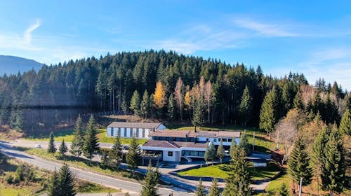 Hotel Forest - Odmor na Jahorini za troje, Pale, Bosna i Hercegovina - 7.807 RSD - 1x noćenje u trokrevetnoj Superior sobi za 3 osobe, Doručak