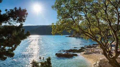 Sunny Rabac by Valamar - Porodični odmor za kraj leta u Rapcu , Rabac, Istra, Hrvatska - 87.025 RSD - 3x noćenje u Superior dvokrevetnoj sobi 2+1 za 3 osobe, Sunny pun pansion