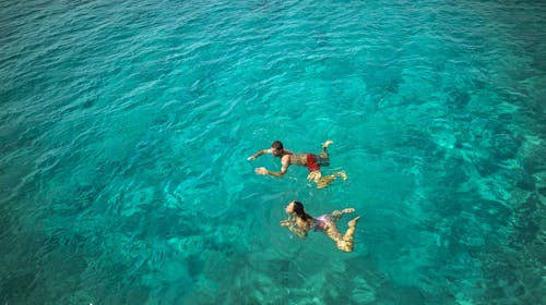 Aminess Vival Port9 Resort - Porodično leto na Korčuli, Korčula, Dalmacija, Hrvatska - 91.975 RSD - 4x noćenje u dvokrevetnoj Superior sobi sa balkonom strana park za 2 osobe (1 dete do 9,99 godina besplatno), Polupansion