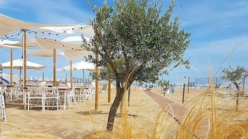 Hotel Alba - Odmor uz peščanu plažu, Marina di Ravenna, Italija - 27.017 RSD - 2x noćenje u Superior dvokrevetnoj sobi za 2 osobe, Buffet doručak
