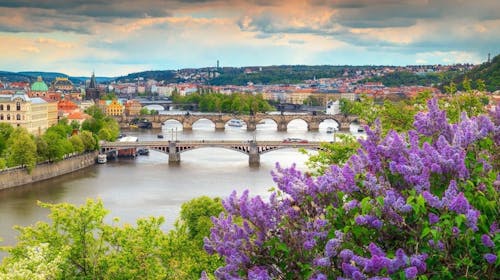 Clarion Congress Hotel Prague - Wellness city break u Pragu, Prag, Češka - 22.078 RSD - 2x noćenje u dvokrevetnoj Standard sobi za 2 osobe, Buffet doručak
