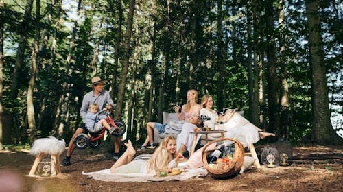 Forest Hotel Videc - Proleće ili jesen na Pohorju, Pohorje, Slovenija - 28.067 RSD - 2x noćenje u dvokrevetnoj sobi sa pomoćnim ležajem i prostranim balkonom za 2 osobe (1 dete do 6 godina besplatno), Polupansion