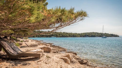 Aminess Younique Senses Resort - Porodična jesen sa all inclusive light na Hvaru, Vrboska, ostrvo Hvar, Hrvatska - 27.123 RSD - 2x noćenje u dvokrevetnoj Superior sobi sa balkonom za 2 osobe (1 dete do 9,99 godina besplatno), All inclusive light