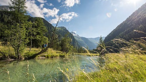 Ferienhotel Alber – Odmor u zagrljaju planina, Mallnitz, Austrija - 110.979 RSD - 6x noćenje u dvokrevetnoj sobi za 2 osobe, Polupansion (buffet doručak i večera u 4 sleda sa salatnim bifeom)