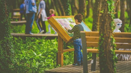 Boni Family Wellness Hotel - Porodični odmor u Mađarskoj, Zalakaros, Mađarska - 55.864 RSD - 3x noćenje u dvokrevetnoj sobi sa terasom ili balkonom za 2 osobe (2 dece do 11,99 godina besplatno), Polupansion