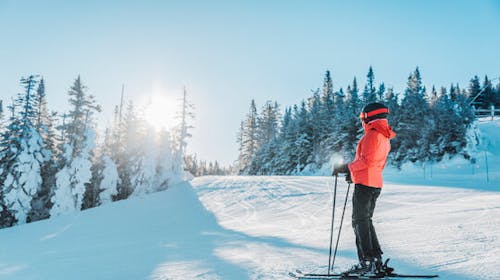 Trinker apartmani - Ladies Ski Opening u Zell am Seeu, Zell am See, Austrija - 41.081 RSD - 3x noćenje u apartmanu za 1 osobu, 2-dnevna skijaška karta Alpin Card (petak, subota)*