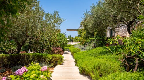 Aminess Vival Velaris Resort - Porodični odmor na Braču, Supetar, ostrvo Brač, Dalmacija, Hrvatska - 29.234 RSD - 2x noćenje u dvokrevetnoj Superior sobi sa balkonom (pogled park) za 2 osobe (1 dete do 9,99 godina besplatno), Polupansion