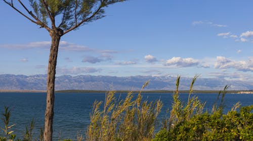 Auramar Pansion - Porodično leto u Dalmaciji, Sabunike, Privlaka, Dalmacija, Hrvatska - 173.642 RSD - 7x noćenje u Family sobi za 2 osobe (2 dece do 14,99 godina i 1 dete do 5 godina besplatno), Polupansion