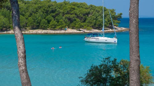 Aminess Vival Velaris Resort - Porodično leto na Braču, Supetar, ostrvo Brač, Dalmacija, Hrvatska - 128.206 RSD - 4x noćenje u dvokrevetnoj Superior sobi sa balkonom (pogled park) za 2 osobe (1 dete do 9,99 godina besplatno), Polupansion