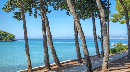 Aminess Vival Velaris Resort - Porodično leto na Braču, Supetar, ostrvo Brač, Dalmacija, Hrvatska - 138.068 RSD - 4x noćenje u dvokrevetnoj Superior sobi sa balkonom (pogled park) za 2 osobe (1 dete do 9,99 godina besplatno), Polupansion