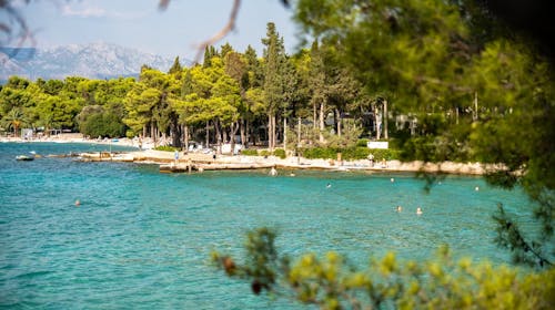 Aminess Vival Velaris Resort - Porodično leto na Braču, Supetar, ostrvo Brač, Dalmacija, Hrvatska - 142.529 RSD - 4x noćenje u dvokrevetnoj Superior sobi sa balkonom (pogled park) za 2 osobe (1 dete do 9,99 godina besplatno), Polupansion