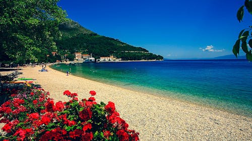 Hotel Quercus - All inclusive light odmor u Dalmaciji, Drvenik, Makarska rivijera, Dalmacija, Hrvatska - 45.777 RSD - 3x noćenje u dvokrevetnoj sobi sa dodatnim ležajem (park strana) za 2 osobe (1 dete do 12 godina i 2. dete do 3 godine besplatno), All inclusive light