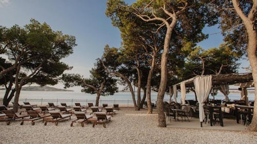 Villas Arausana & Antonina - Odmor u Vodicama uz more, Vodice, Dalmacija, Hrvatska - 24.297 RSD - 2x noćenje u dvokrevetnoj sobi sa balkonom (morska strana) za 2 osobe (1 dete do 11,99 godina i 2. dete do 2,99 godina besplatno), Polupansion