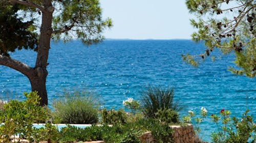 Terra Park Phalaris - Porodično leto u savršenom kampu - Pinus Holiday Home, Novalja, Pag, Dalmacija, Hrvatska - 251.279 RSD - 7x noćenje u Pinus Holiday Home za do 5 osoba (4 odrasle osobe i 1 dete do 11,99 godina), Posteljinu i peškiri