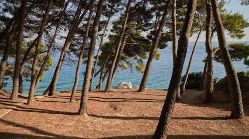 Sagitta Holiday Resort - Porodično leto u Omišu - Standard bungalov, Omiš, Dalmacija, Hrvatska - 169.086 RSD - 5x noćenje u Standard bungalovu (2+1) za 2 osobe (1 dete do 13,99 godina i 1 dete do 7,99 godina besplatno), All inclusive