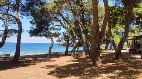 Youth Hostel Pinesta - Last minute leto u Novigradu, Novigrad, Istra, Hrvatska - 17.252 RSD - 2x noćenje u dvokrevetnoj twin sobi (sa jednostrukim krevetima) za 2 osobe, Doručak