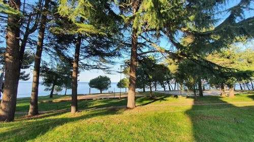Youth Hostel Pinesta - Leto u Novigradu, Novigrad, Istra, Hrvatska - 25.114 RSD - 2x noćenje u dvokrevetnoj twin sobi (sa jednostrukim krevetima) za 2 osobe, Doručak