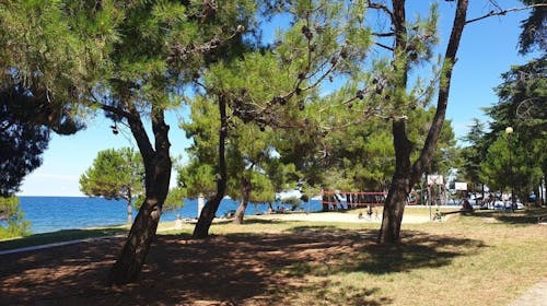 Youth Hostel Pinesta - Leto u Novigradu, Novigrad, Istra, Hrvatska - 36.733 RSD - 3x noćenje u dvokrevetnoj twin sobi (sa jednostrukim krevetima) za 2 osobe, Doručak