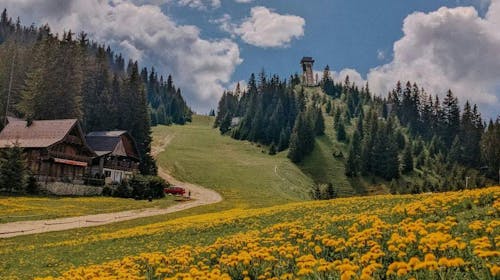 Blanca Resort & Spa - Letnji wellness odmor na Vlašiću, Vlašić, Bosna i Hercegovina - 8.920 RSD - 1x noćenje u Standard sobi za 2 osobe (1 dete do 6 godina besplatno), Doručak