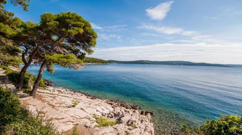 Hotel Lavanda - Letnji odmor na Dugom otoku, Božava, Dalmacija, Hrvatska - 158.536 RSD - 7x noćenje u Standard sobi sa pogledom na more i balkonom za 2 osobe, Polupansion (buffet doručak i večera)