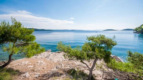 Hotel Lavanda - Porodični odmor na Dugom otoku, Božava, Dalmacija, Hrvatska - 198.057 RSD - 7x noćenje u Standard sobi sa pogledom na more i balkonom za 2 osobe (2 dece do 11,99 godina besplatno), Polupansion (buffet doručak i večera)