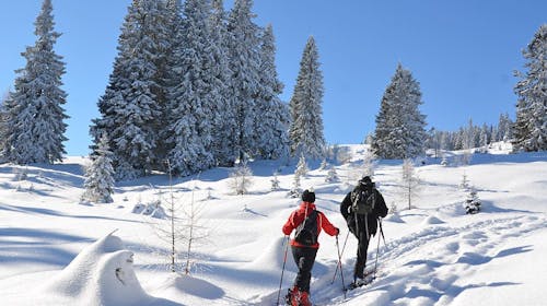 Landidyll Hotel Nudelbacher - Zimski odmor u Kärntenu, Feldkirchen in Kärnten, Austrija - 89.073 RSD - 5x noćenje u dvokrevetnoj sobi sa balkonom za 2 osobe, Polupansion