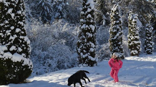 Landidyll Hotel Nudelbacher - Zimski odmor u Kärntenu, Feldkirchen in Kärnten, Austrija - 45.652 RSD - 3x noćenje u dvokrevetnoj sobi sa balkonom za 2 osobe, Polupansion